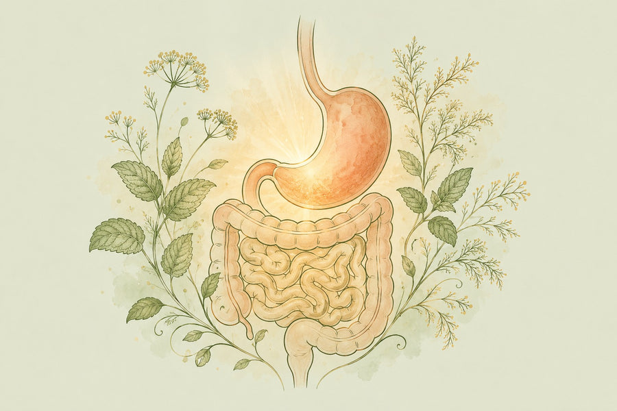 Digestive Care